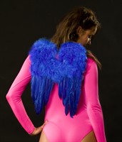 Feather wings medium blue 