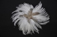 Feder-Blume weiss mit Haarspange