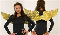 Angel wings gold (88x24 cm)