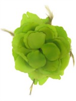 Flower green with hair elastic