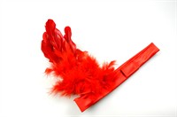 Feather crown red