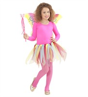 Set fee stained (rod, tulle skirt, wings)