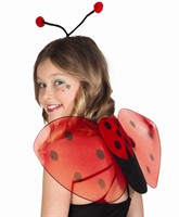 Set Ladybug (wings & hair circlet)