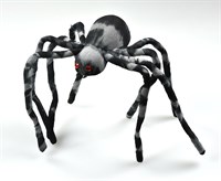 Spinne mit Streifen schwarz