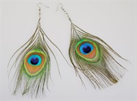 Earrings Peacock