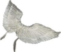 Feather wings white 70x40cm