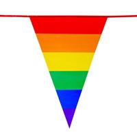 PE Flag line rainbow (6m)