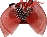 Mini hat red with feathers & hair clips