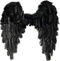 Engelenvleugels zwart 50x50cm