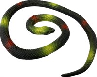 Rubber python 75cm multicolour