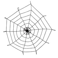 Spider web with spider 