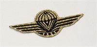 Badge pilot (k) 5,5cm long