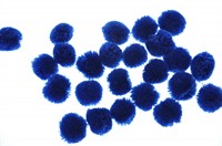 Pompons blau 25mm 10St.