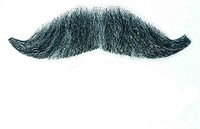 mustache grey Gilbert de luxe 