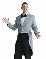 Tailcoat luxury grey