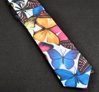 Krawatte Schmetterling 