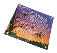 Spiderweb with cupping-glasses