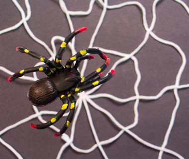 Spinnenweb net halloween (150 cm)