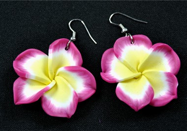 Earrings Hawaii