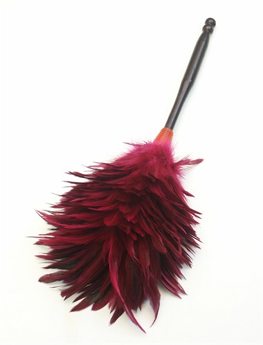 Feather duster fluor pink (L=35 cm)