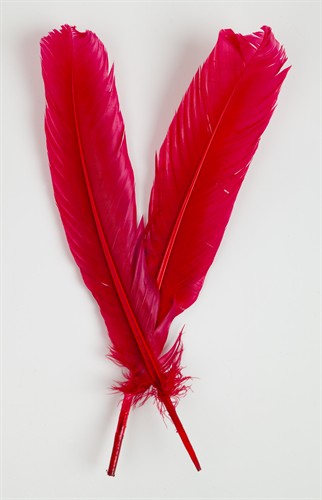 Turkey feather red (L=25 cm)