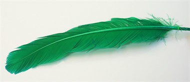 Turkey feather green (L=25 cm)