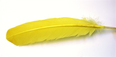 Turkey feather yellow (L=25 cm)