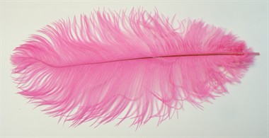 Feather fluo-pink (L=35 cm)