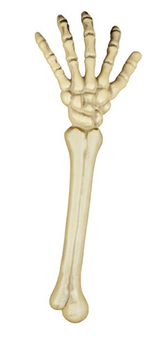 Skeleton arm 46cm