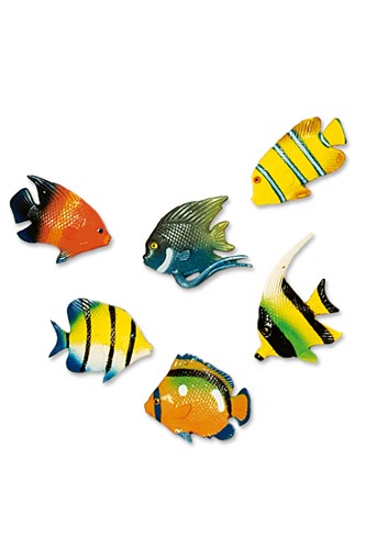 Tropical fishes 6pcs Ø(6.5cm)