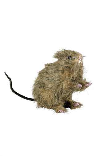 Rat bint 15cm