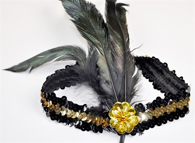 Hair circlet  black/gold + feather