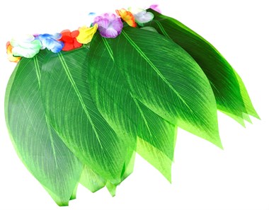 Skirt leaves Hawai