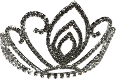 Diadeem strass zilver 14x12x7cm