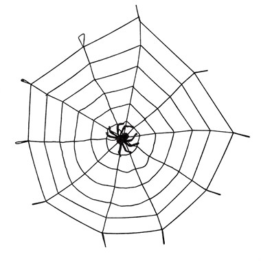 Spider web with spider 