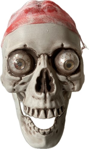 Skull with LED red