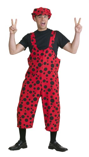 Dungarees ladybug